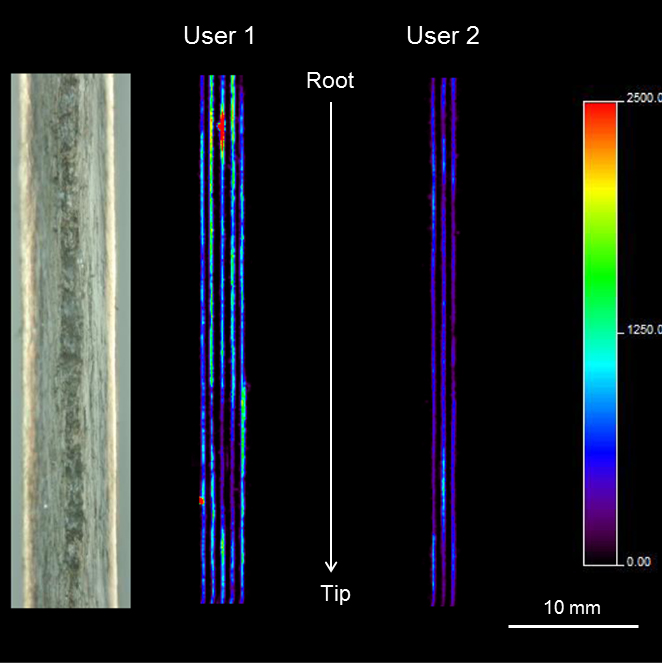 Emerging Applications In Mass Spectrometry Imaging Enablers And