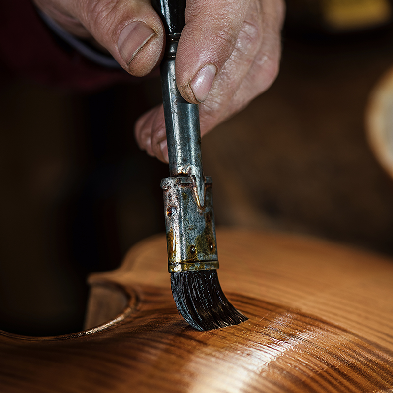 The components of violin varnish, Focus