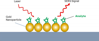 Partnership To Develop Novel SERS Substrate | Spectroscopy Europe/World