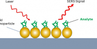 Schematic of the Nikalyte gold nanoparticle SERS substrate